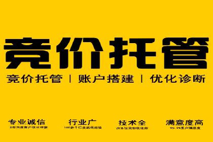 Sem优化公司案例：打造高效广告投放策略